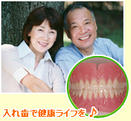 �ی���������ō��̓��ꎕ�����܂�